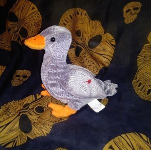 🦆Beanie Baby